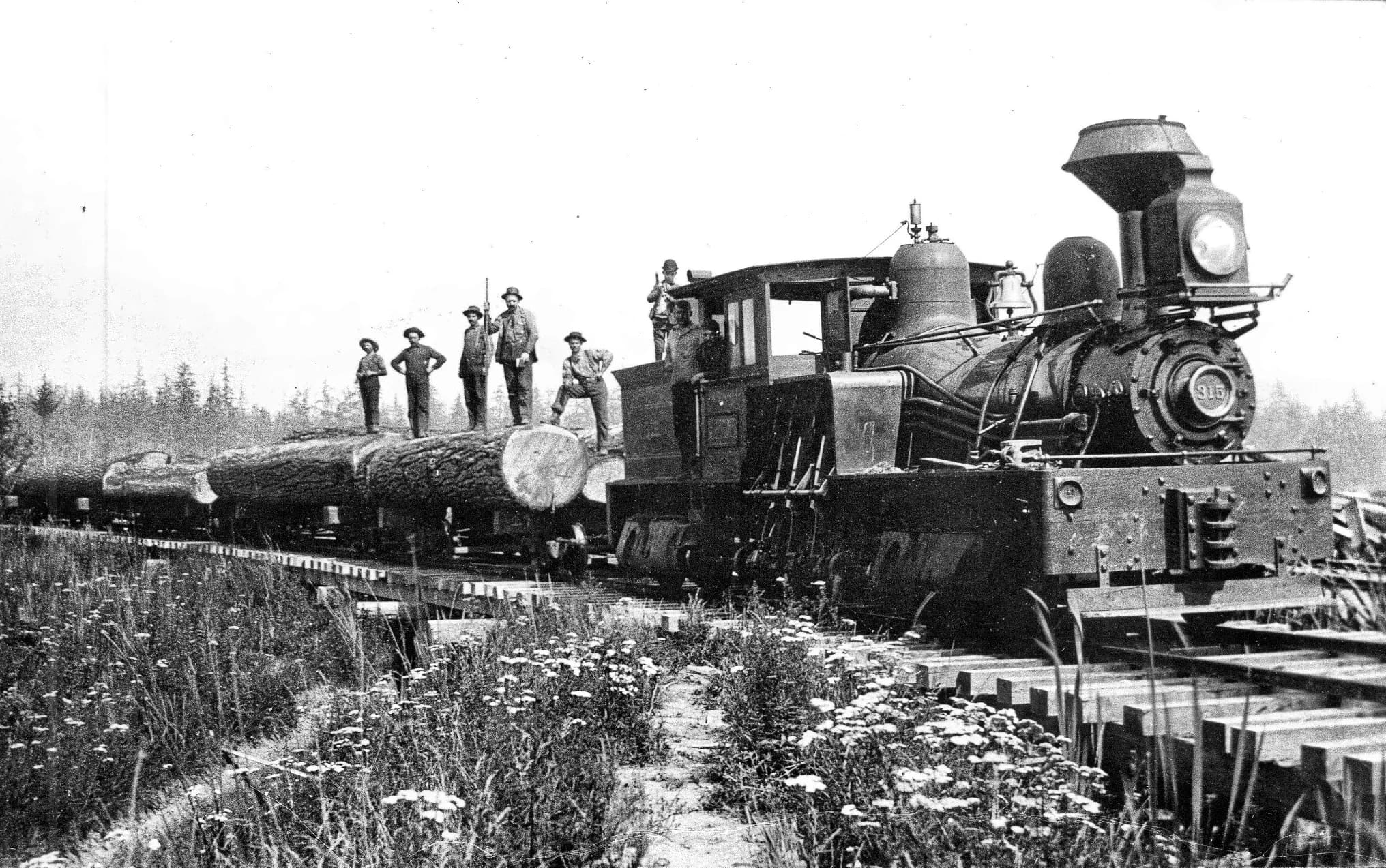 Logging locomotive number 315 with its crew standing on a train of enormous logs