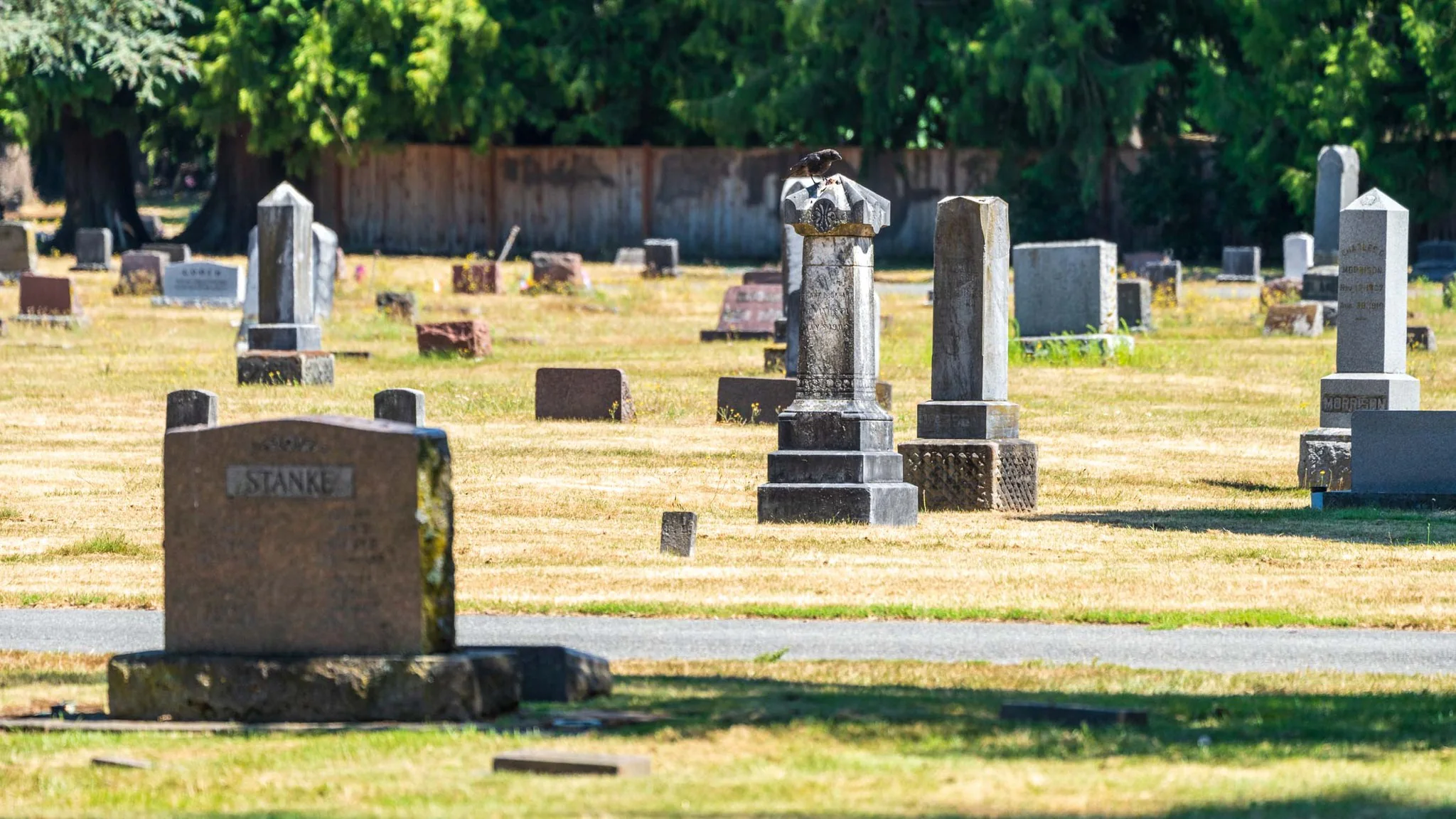 Historic gravestones across the cemetery during the 2025 Annual Cemetery Tour